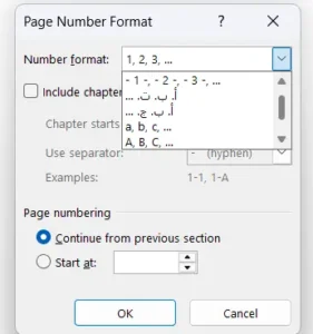 پنجره Page Number Format